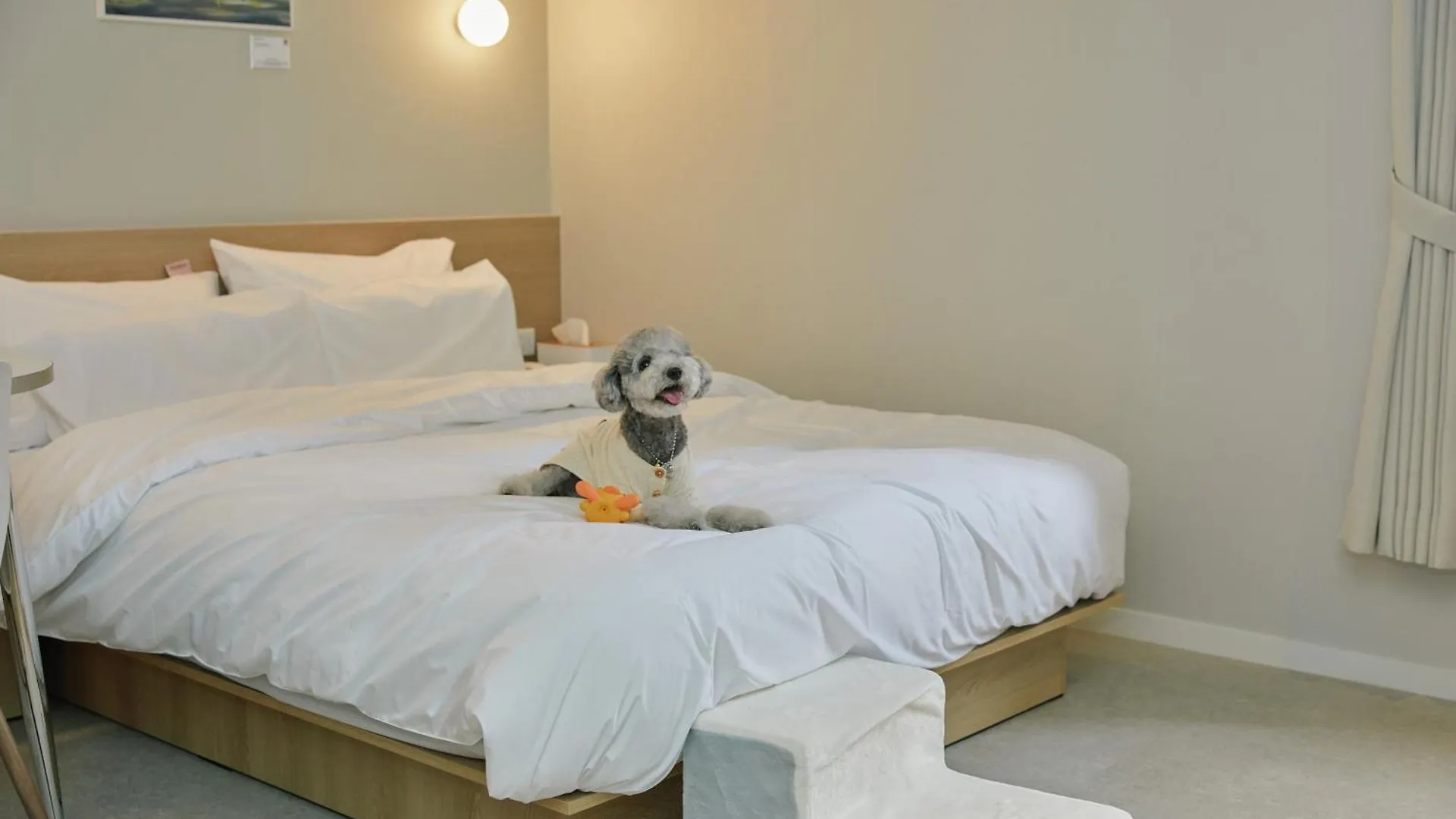 Aank Hotel Incheon Songdo